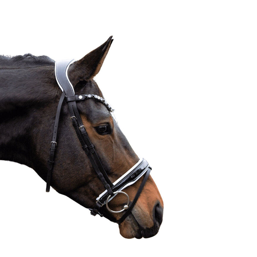 Bridle -Manchester