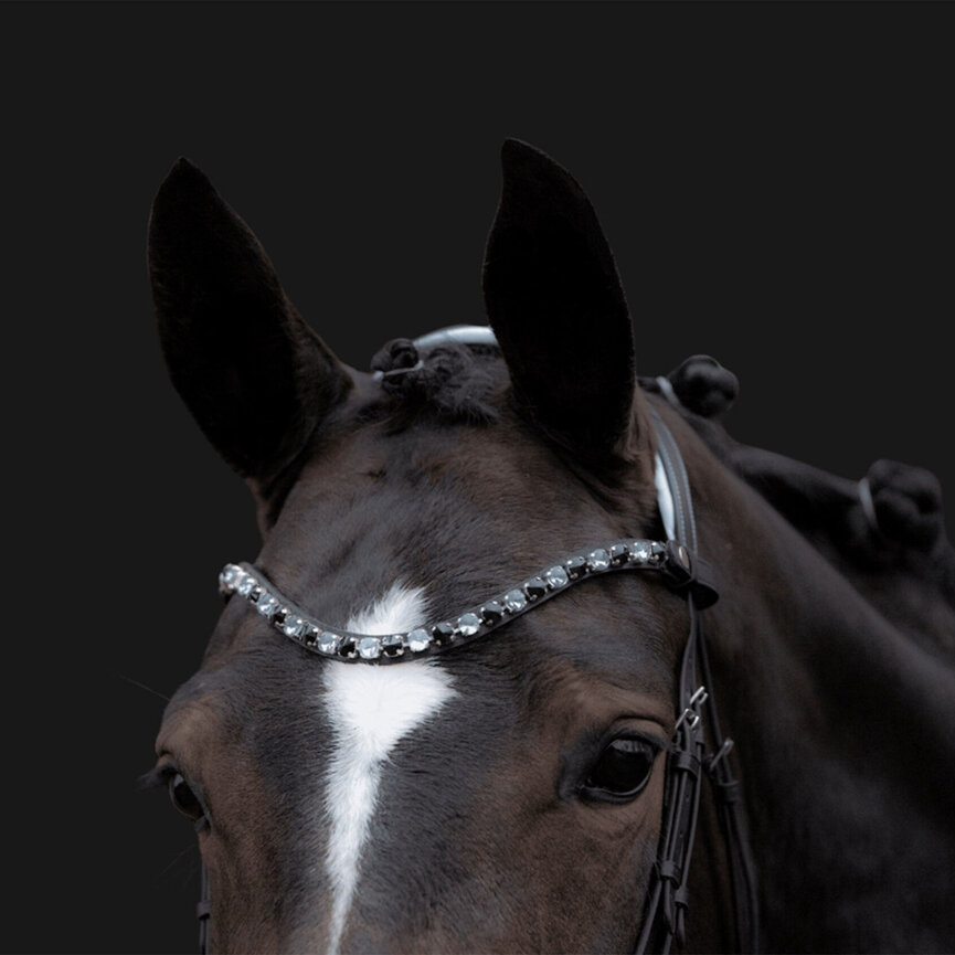Bridle -Manchester
