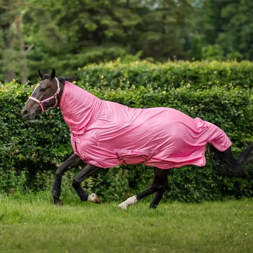 BUCAS FREEDOM FLY SHEET SS26