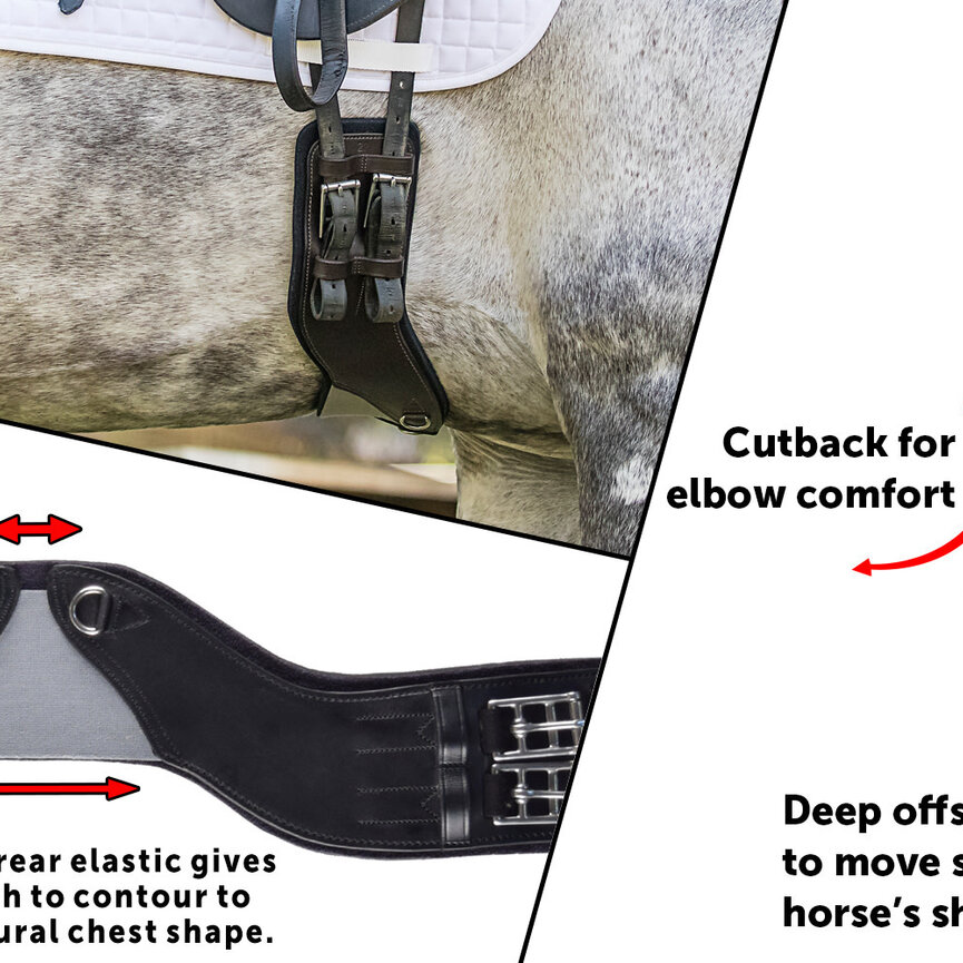 StretchTec Shoulder Relief Girth™ – DRESSAGE