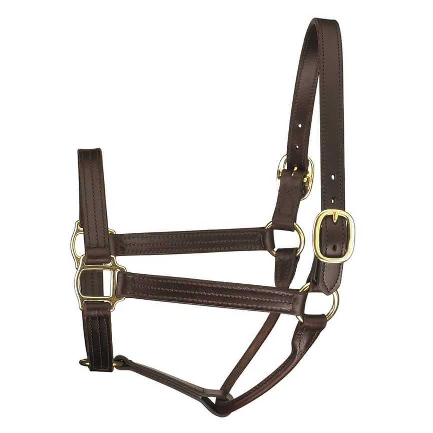 Perri's 1" Track Halter Havana