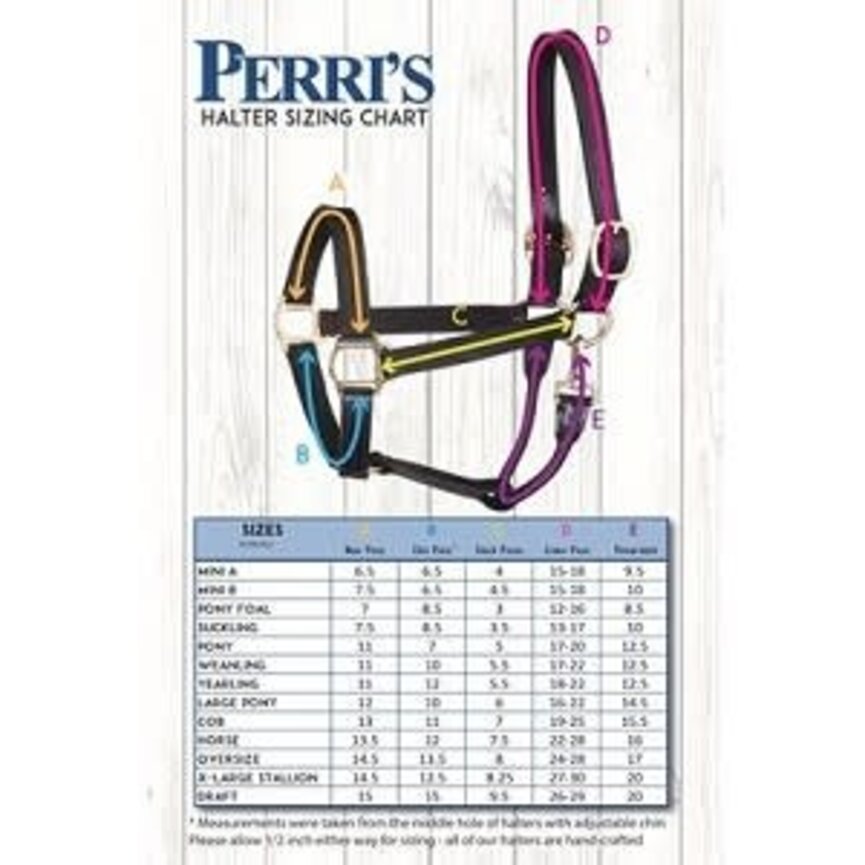 Perri's 1" Track Halter Havana