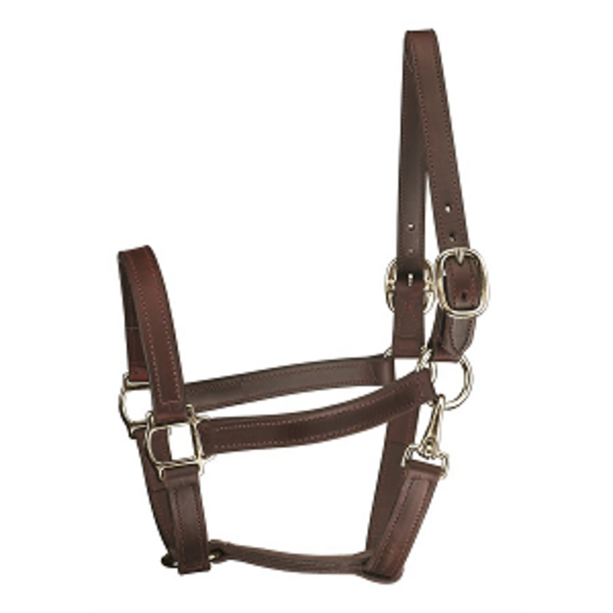 Perri's 1" Track Turnout Halter with Snap - Havana