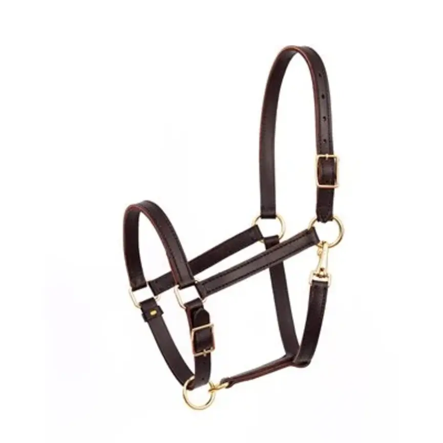 Perri's 7/8" Value Work Leather Halter - Havana