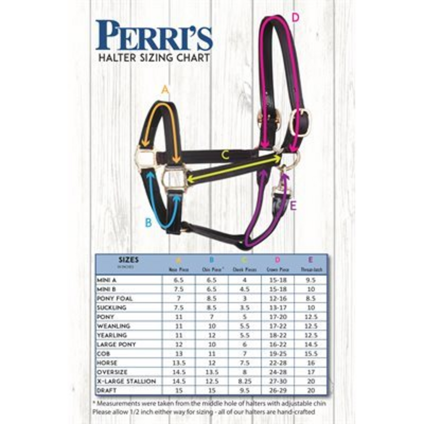 Perri's 7/8" Value Work Leather Halter - Havana