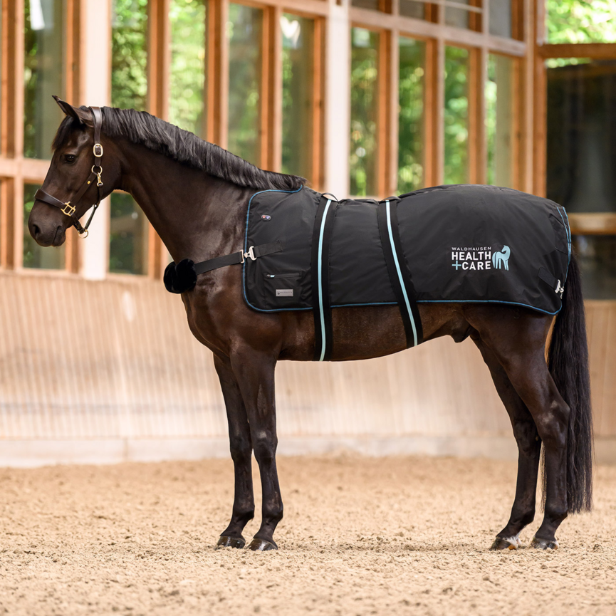 Health + Care TecSupreme Heating and Massage Rug