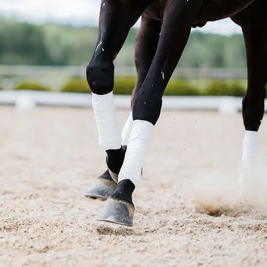 CIRCULATION EXERCISE BANDAGES
