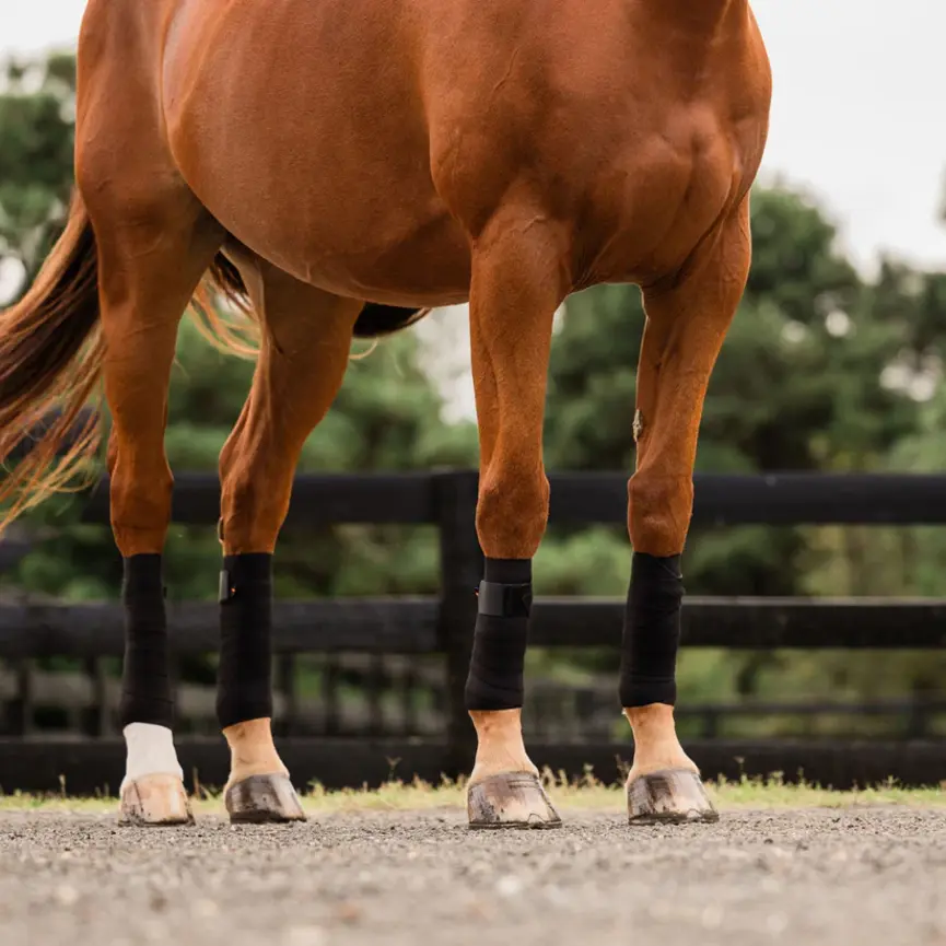 CIRCULATION EXERCISE BANDAGES