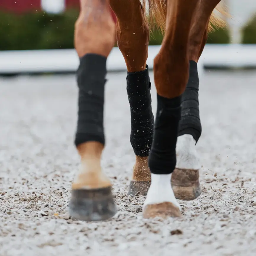 CIRCULATION EXERCISE BANDAGES