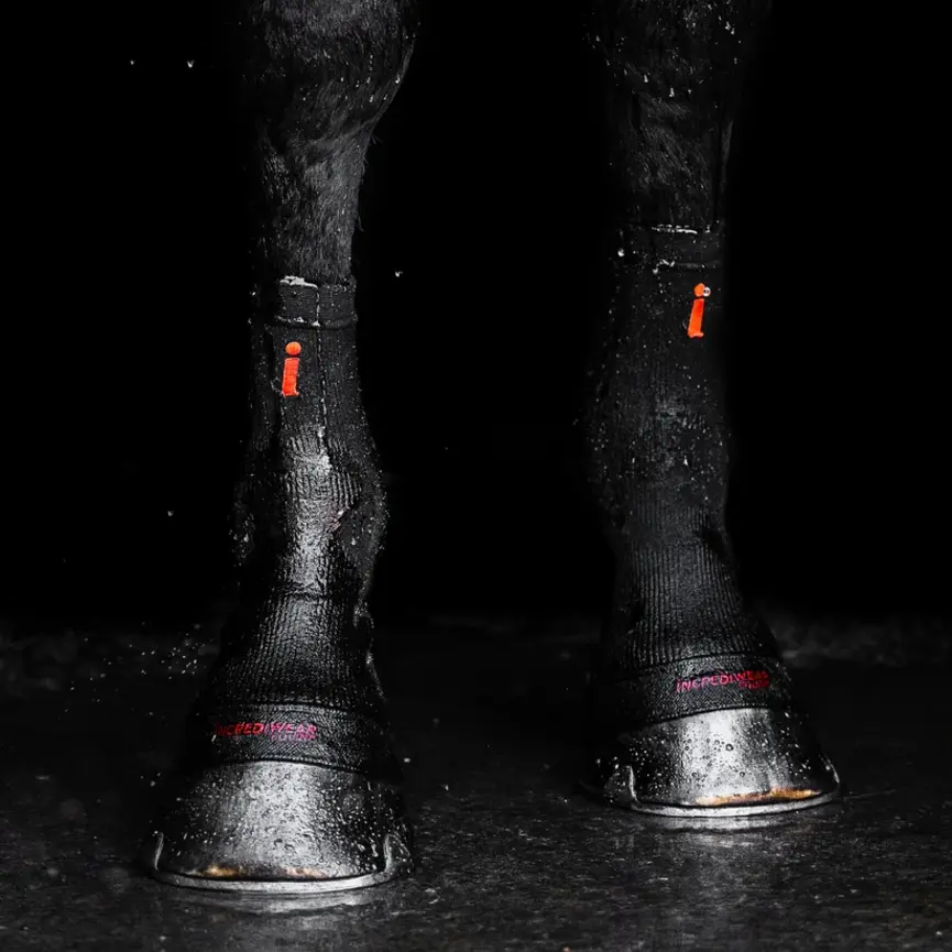 CIRCULATION HOOF SOCK
