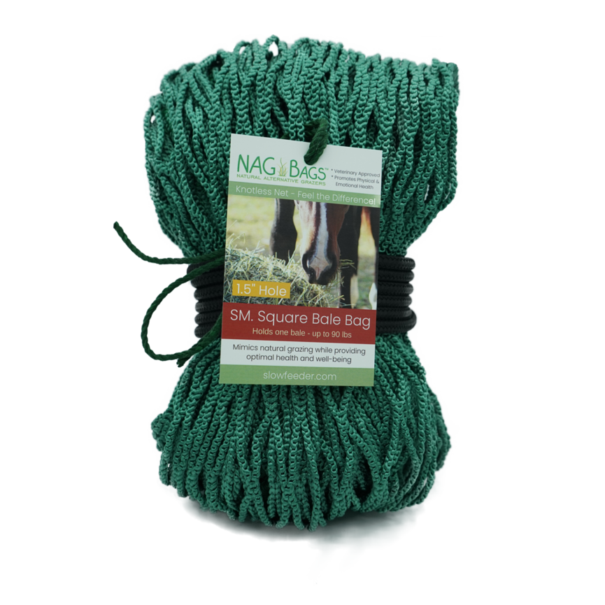 NAG BAGS SMALL SQUARE BAG