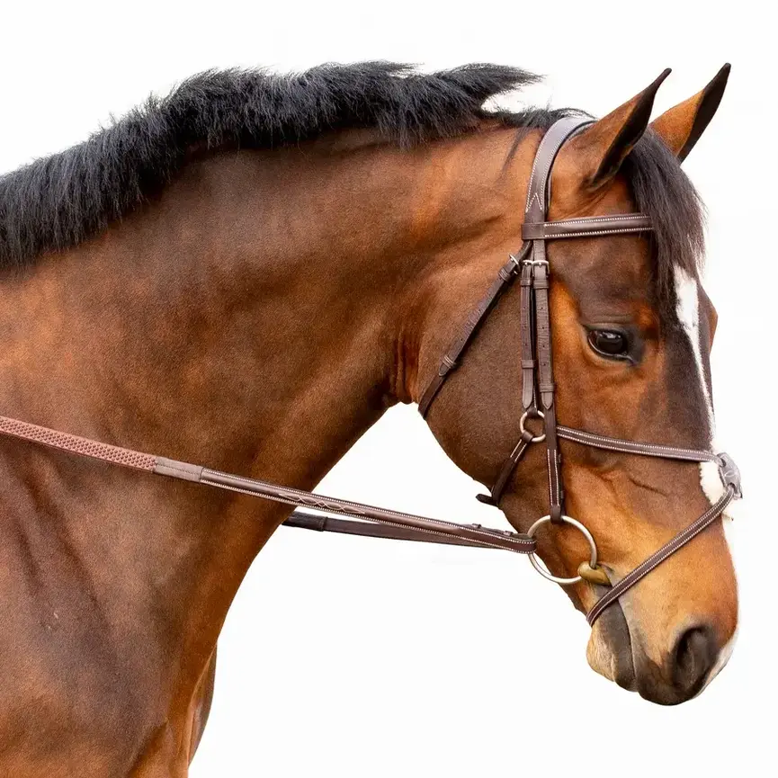 Valkyrie Fancy Stitched Figure 8 Bridle & Reins - Chocolate Brown