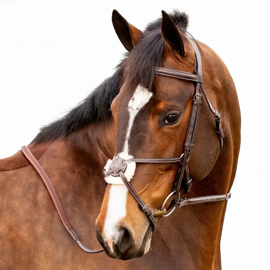 Valkyrie Fancy Stitched Figure 8 Bridle & Reins - Chocolate Brown