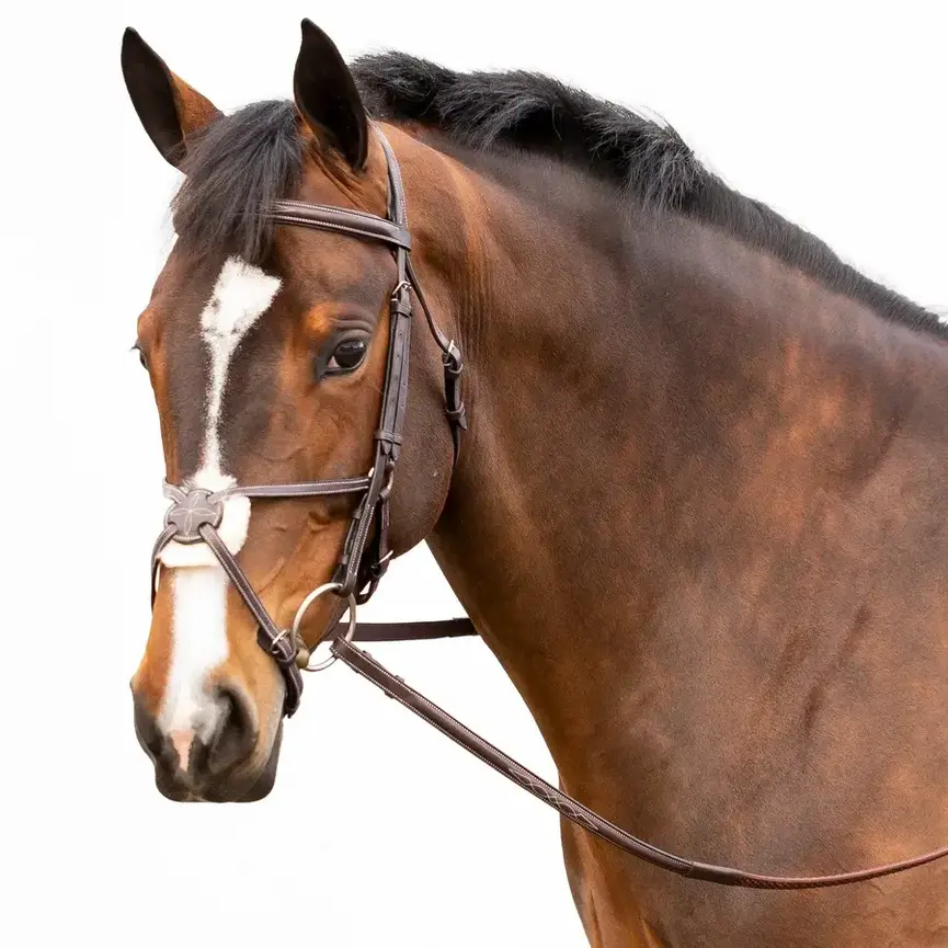 Valkyrie Fancy Stitched Figure 8 Bridle & Reins - Chocolate Brown