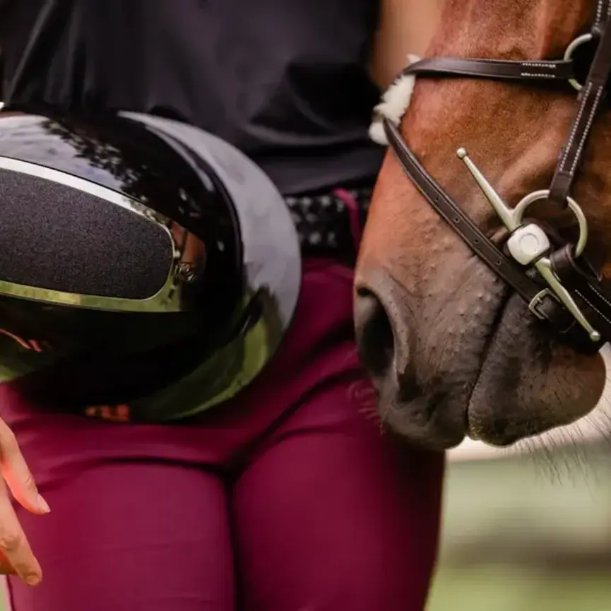 Crown Glossy Mips Riding Helmet - Black/Black Shimmer