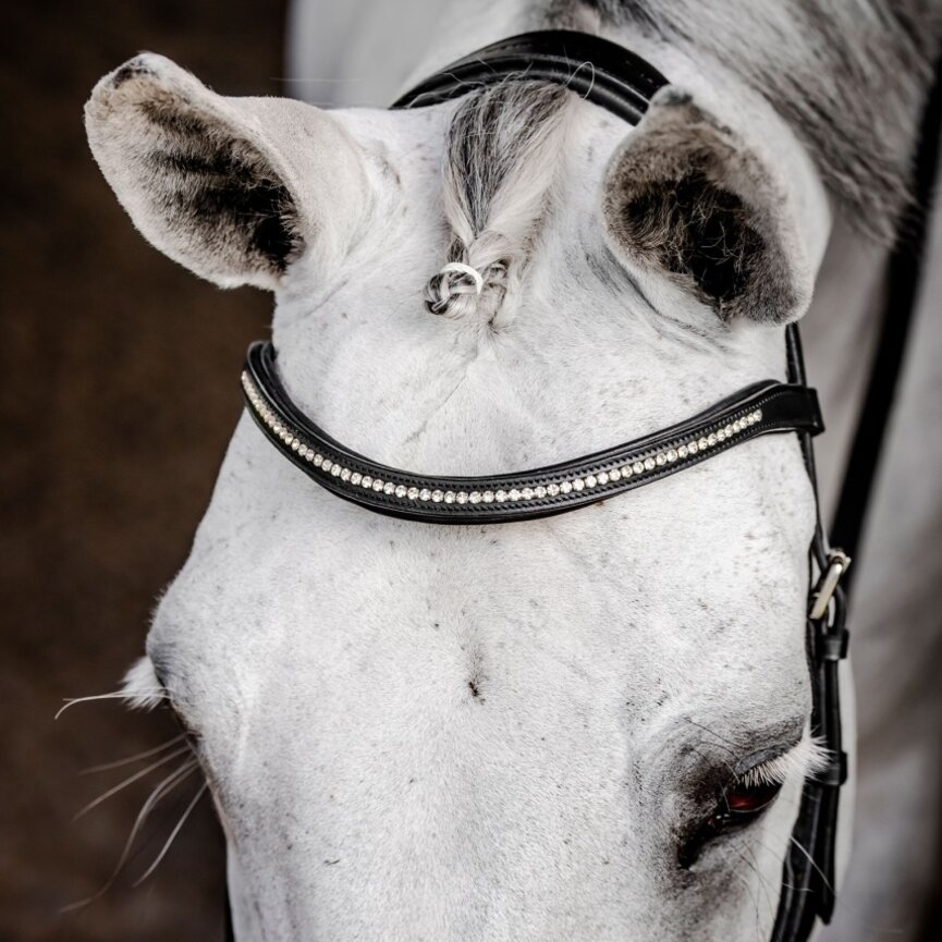 Micklem Diamante Competition Bridle