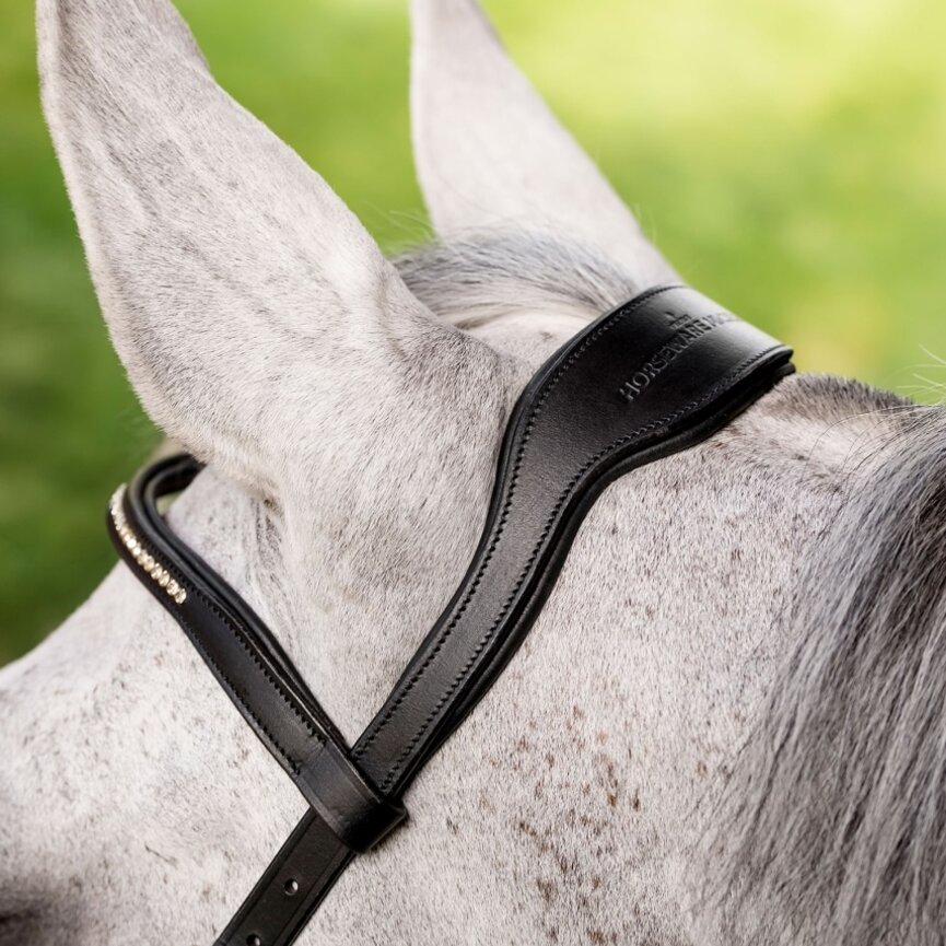 Micklem Diamante Competition Bridle