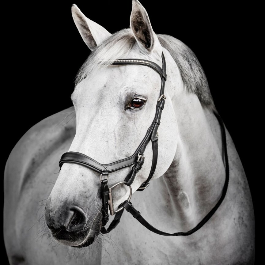 Micklem Diamante Competition Bridle