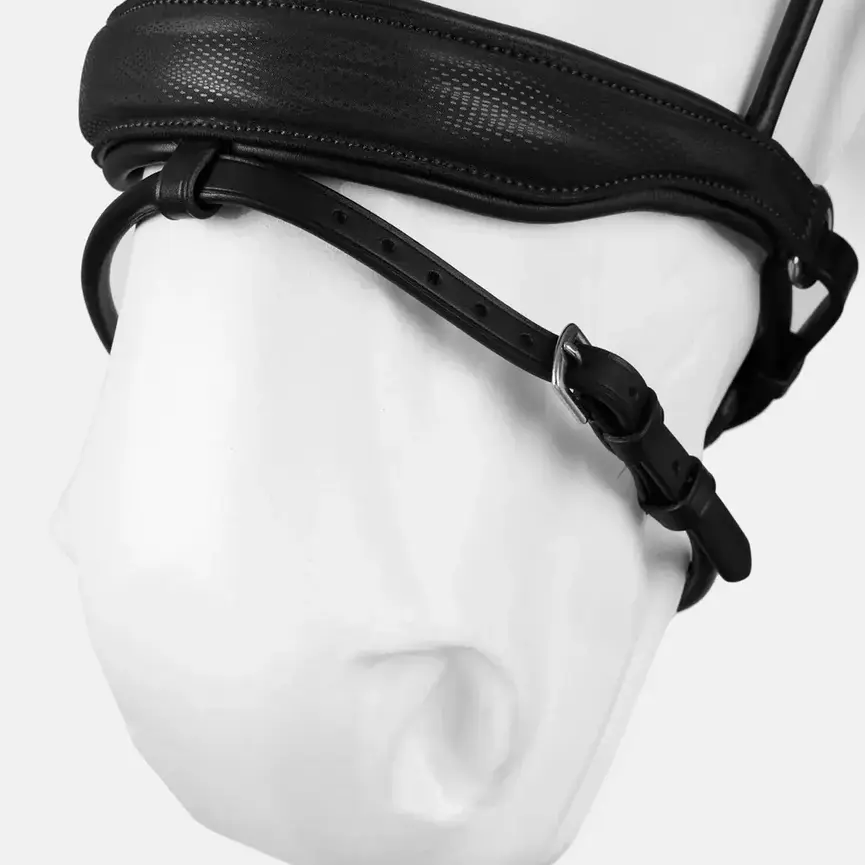 MONTROSE DRESSAGE BRIDLE