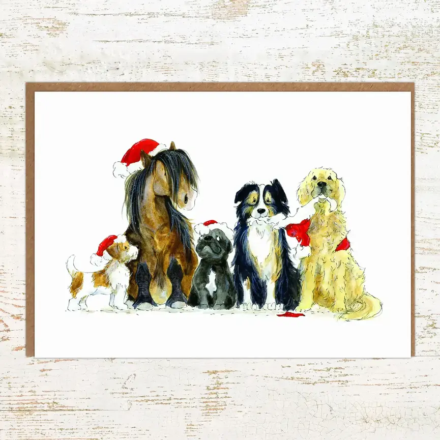 Pony Nut Gifts Christmas Cards