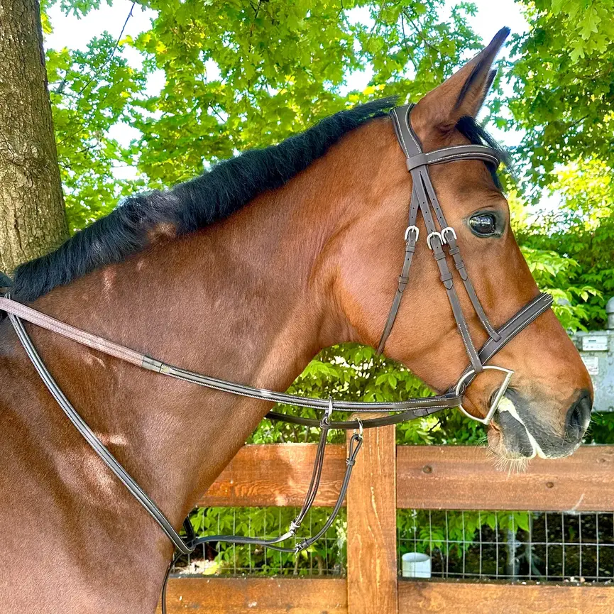 WESLEY FANCY STITCHED RUNNING MARTINGALE (OPEN RING)