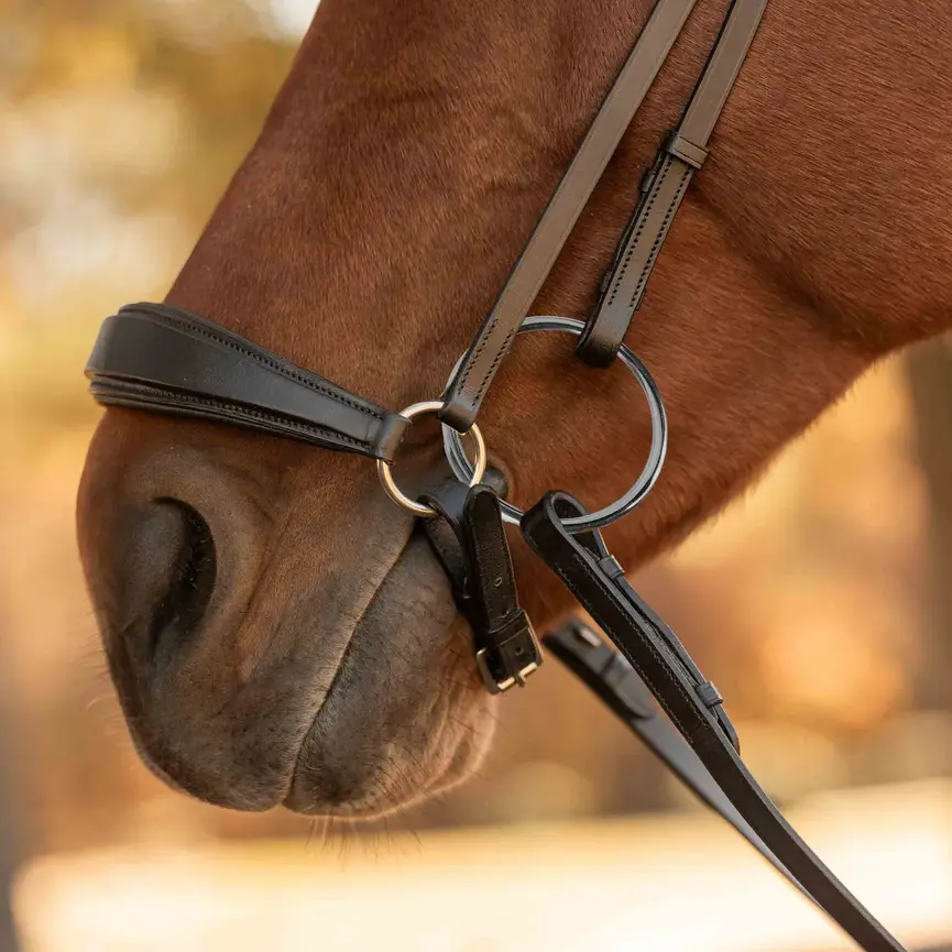 SAGA DROP NOSEBAND BRIDLE WITH WEB RUBBER REINS