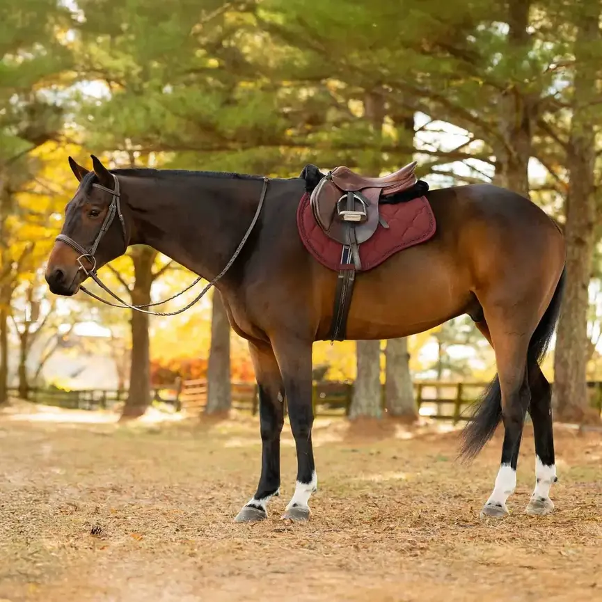 Bergen Crystal All Purpose Saddle Pad