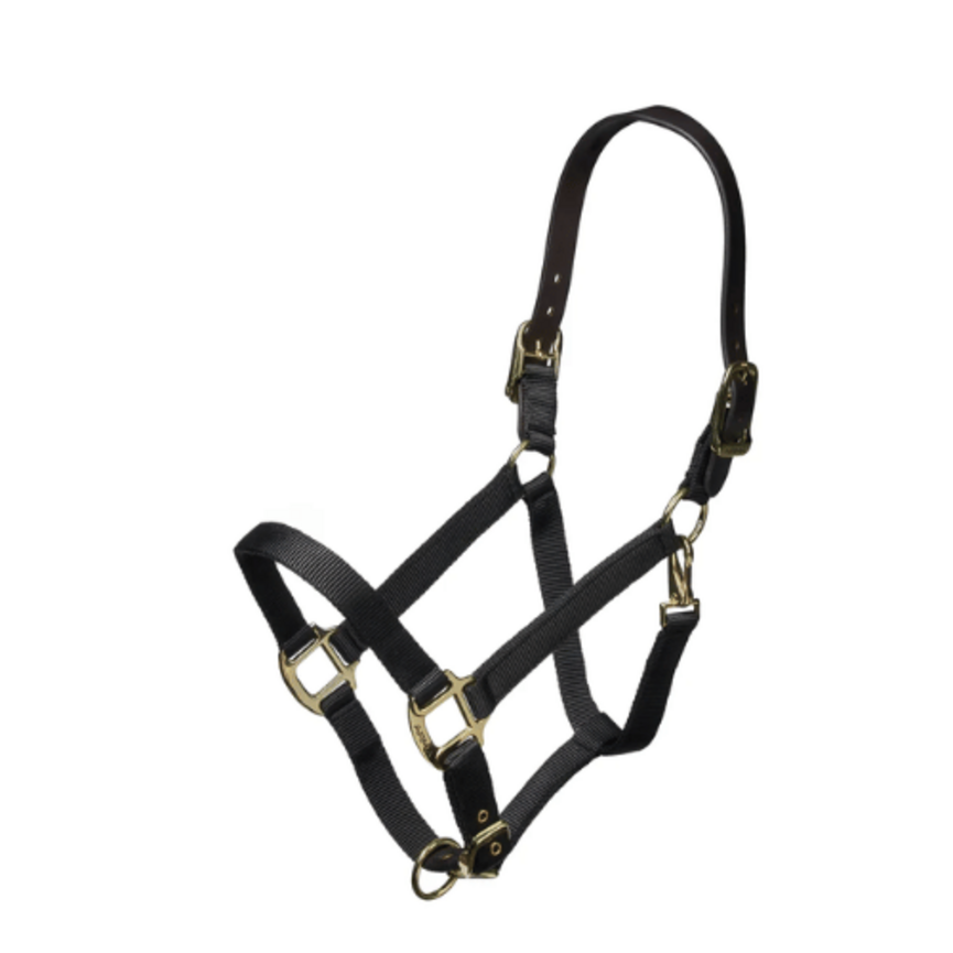 Nylon Halter With Leather Head Strap