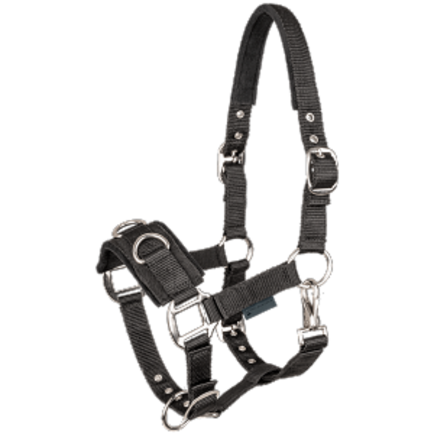 Economy Nylon Lunging Cavesson