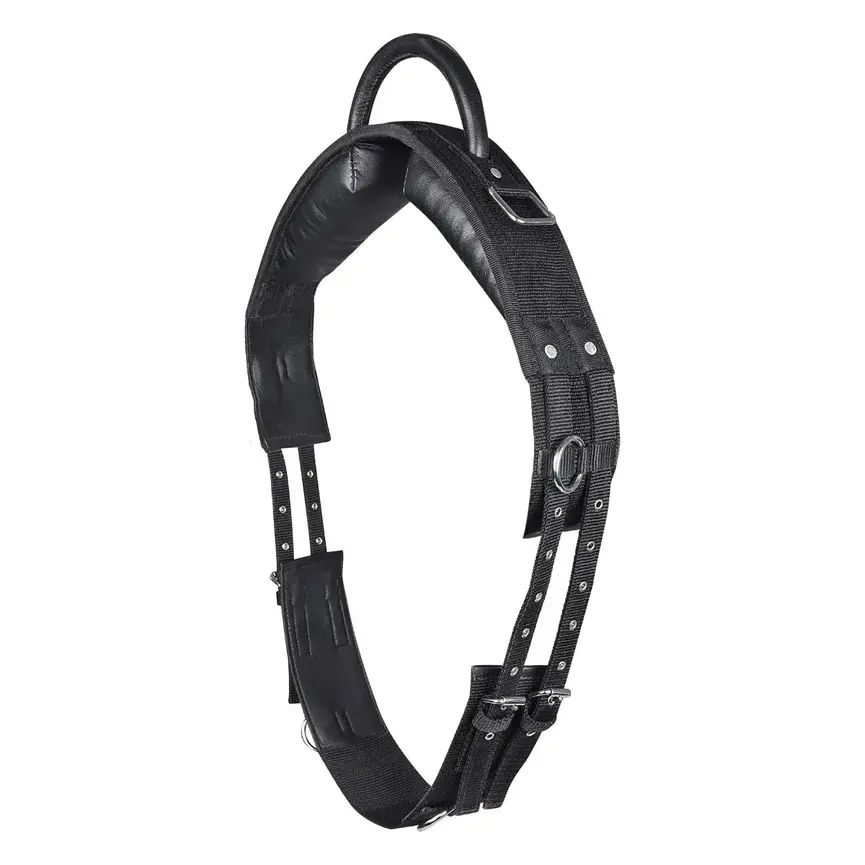 Lunging Surcingle with Handle