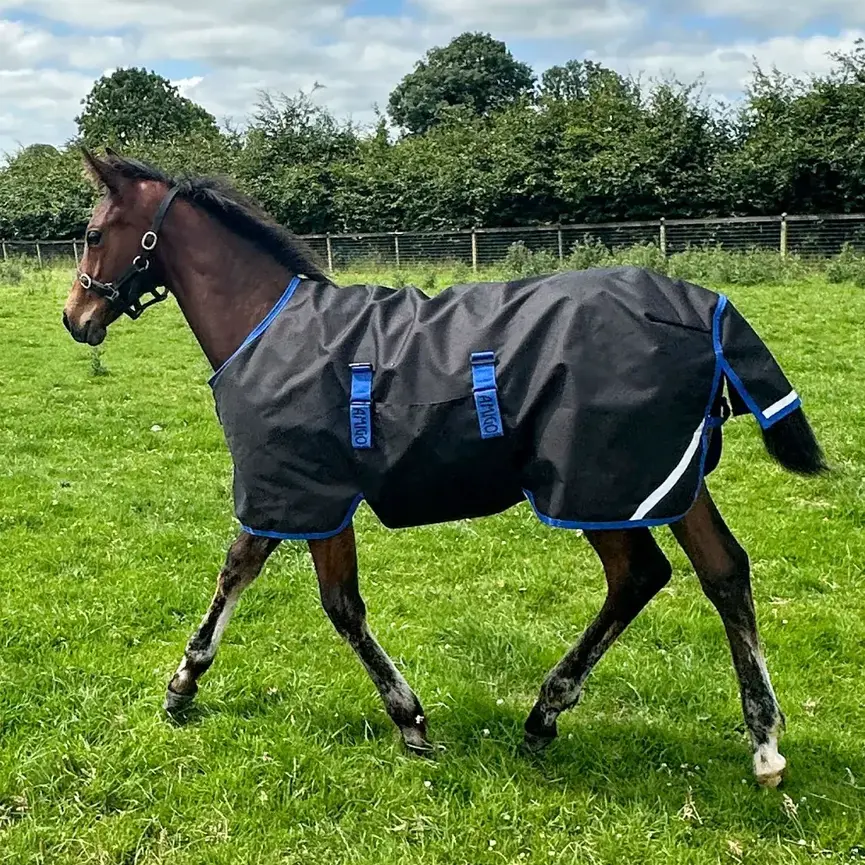 Amigo Ripstop 900D Foal Turnout 200g