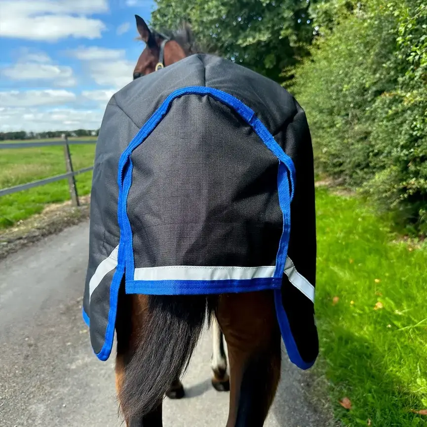Amigo Ripstop 900D Foal Turnout 200g