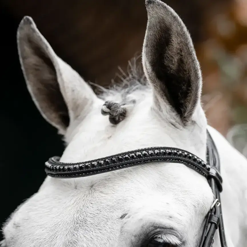 Horseware Diamante Flash Bridle