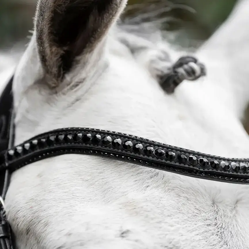 Horseware Diamante Flash Bridle