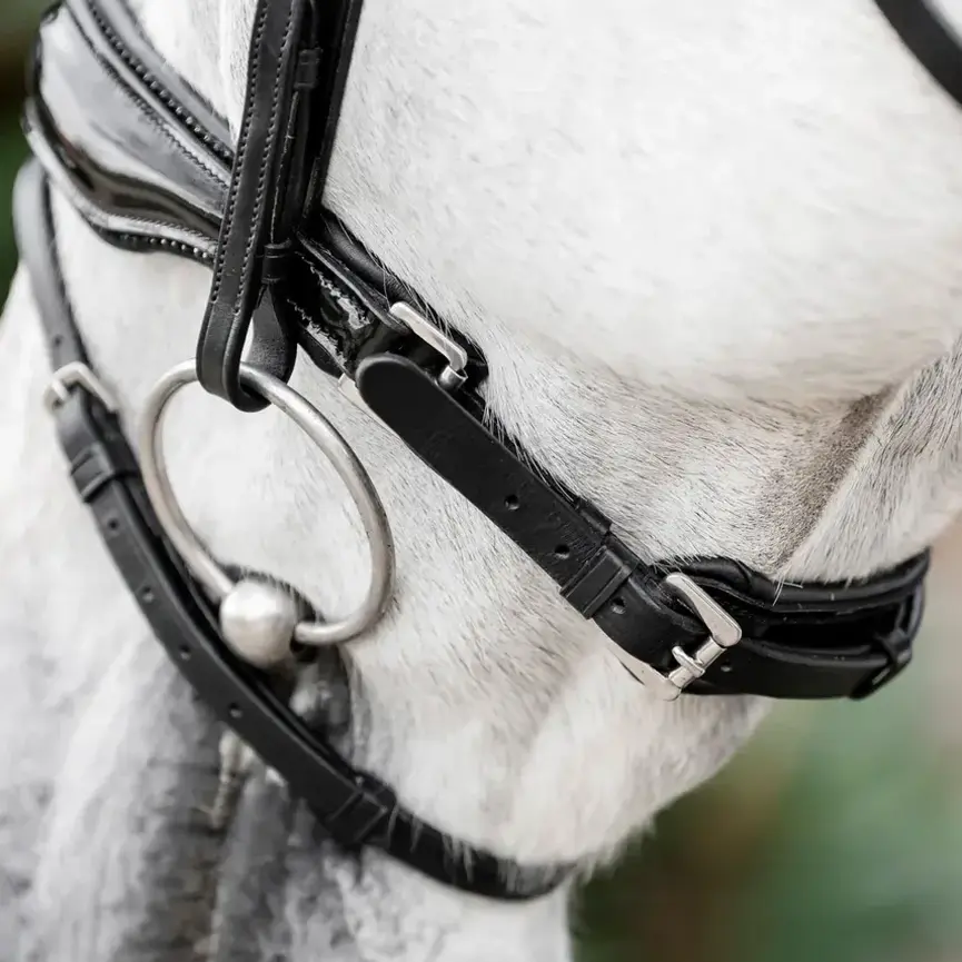 Horseware Diamante Flash Bridle