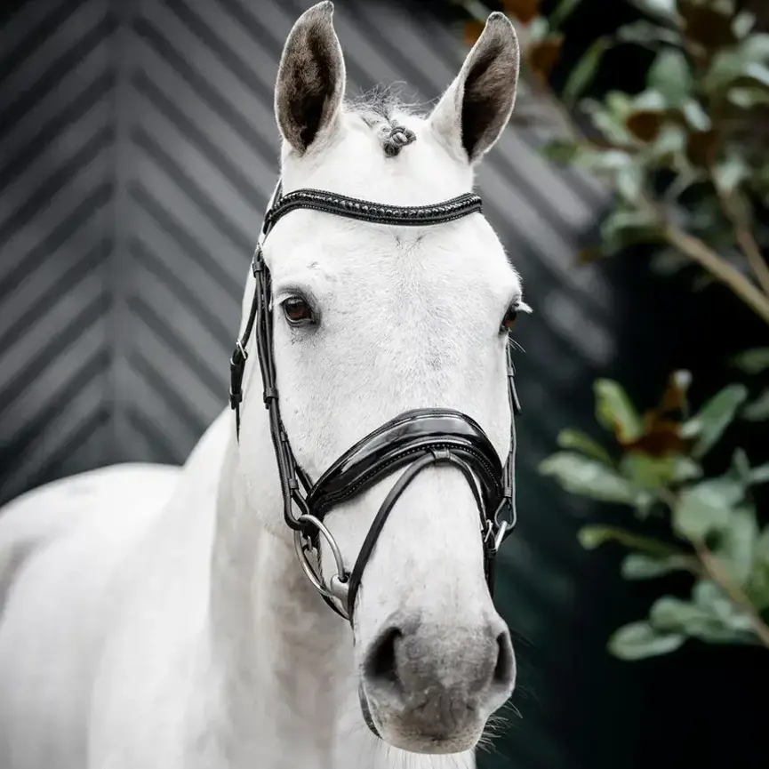 Horseware Diamante Flash Bridle