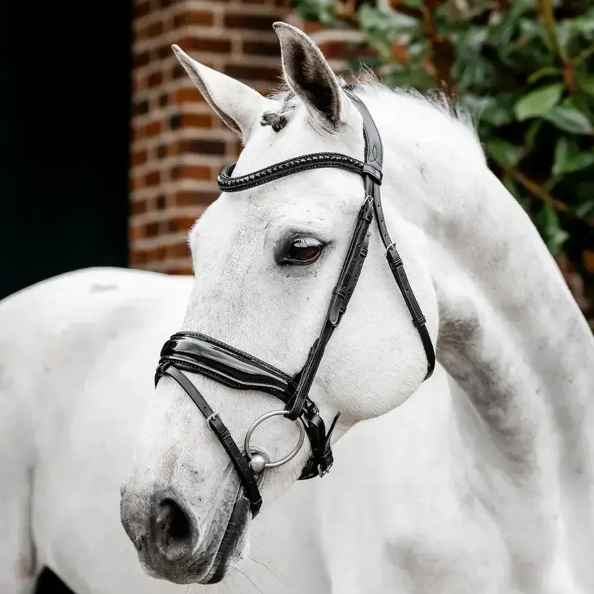 Horseware Diamante Flash Bridle