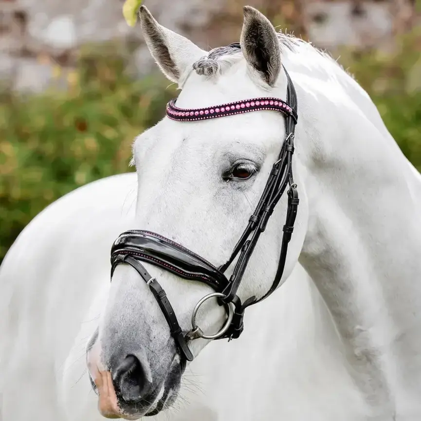 Horseware Diamante Flash Bridle