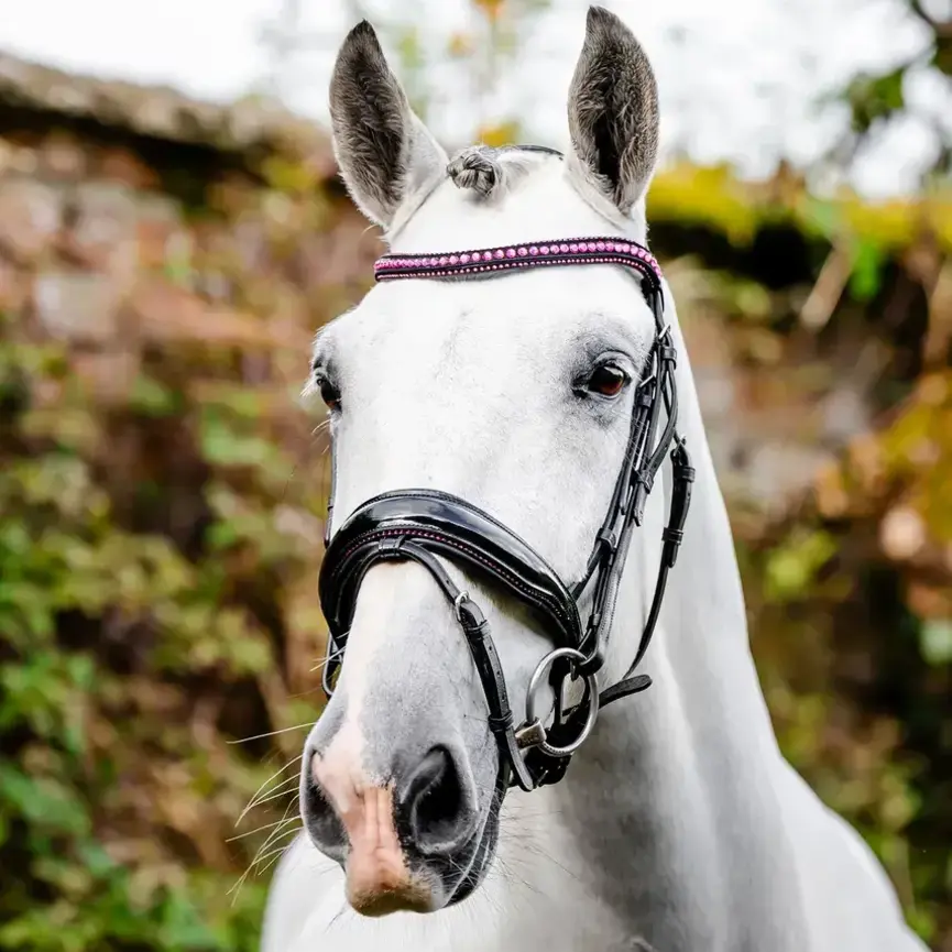 Horseware Diamante Flash Bridle
