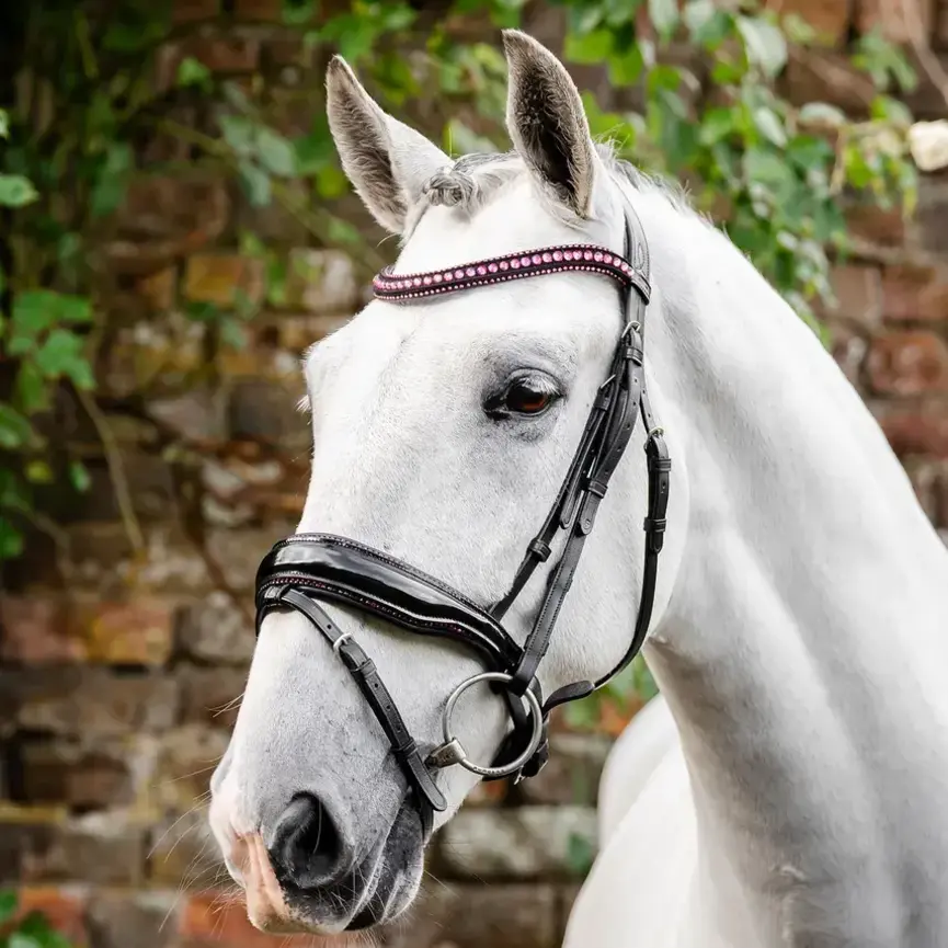 Horseware Diamante Flash Bridle