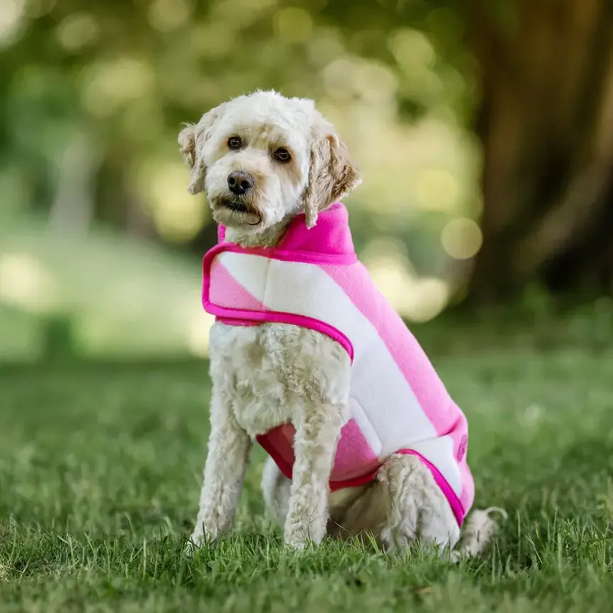 Horseware Newmarket Dog Fleece