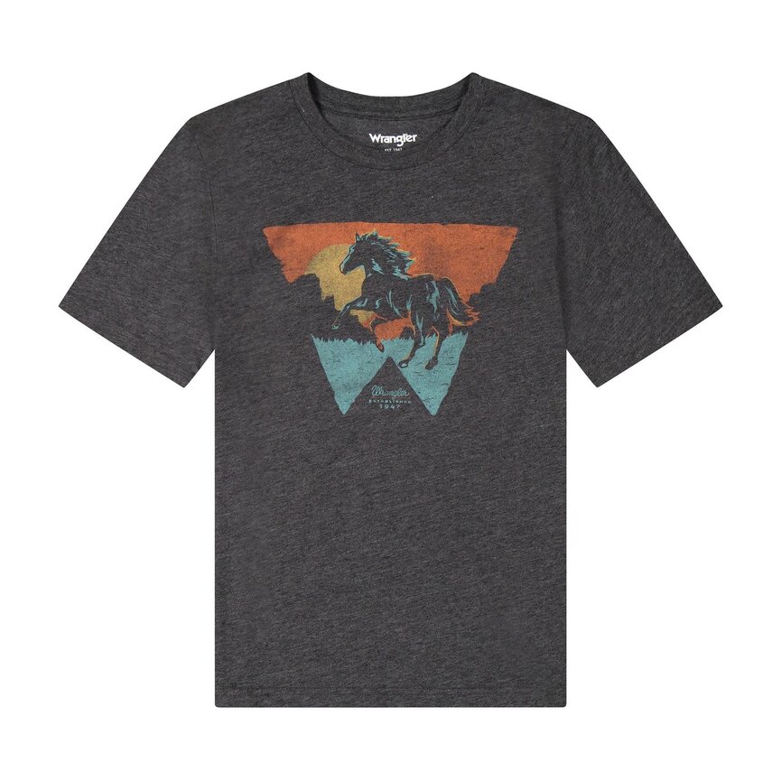 Boys Short Sleeve Graphic T-Shirt - Black Beauty Heather