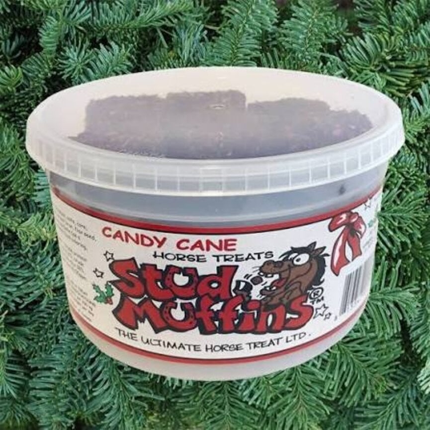 20 OZ CANDY CANE FLAVOUR TUB