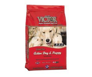 Victor active dog sales