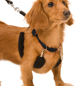 sporn dog collar