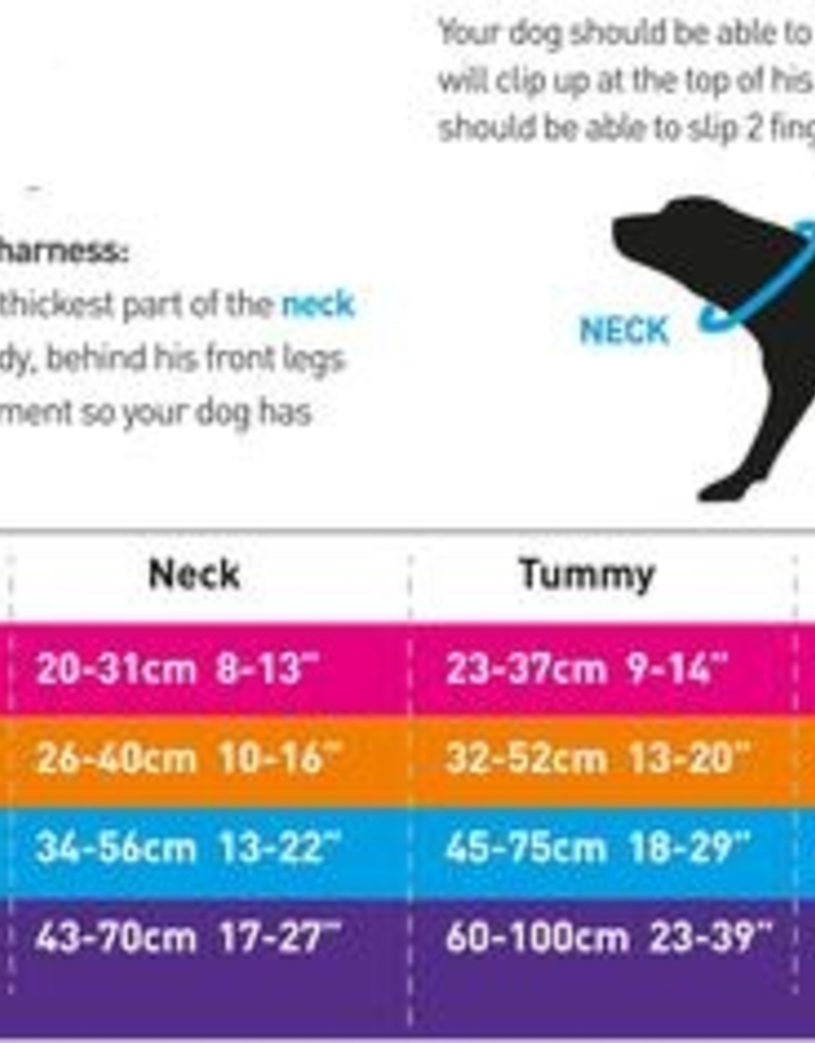 DOOG Doog | Step In Harnesses - Lassie