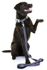 DOOG Doog | Neoprene Dog Lead - Pongo