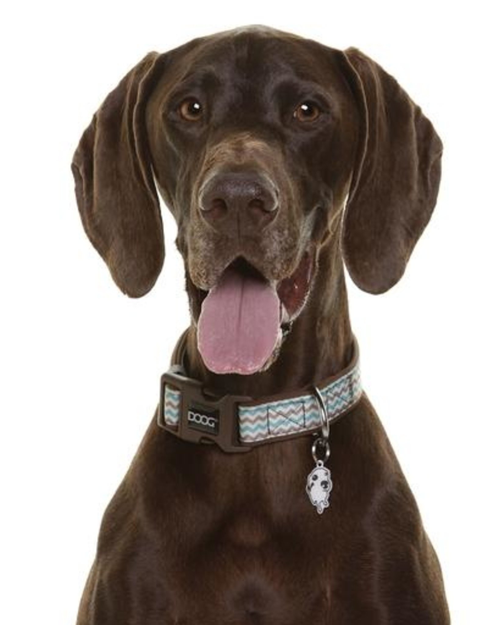 DOOG Doog | Dog Collar - Benji