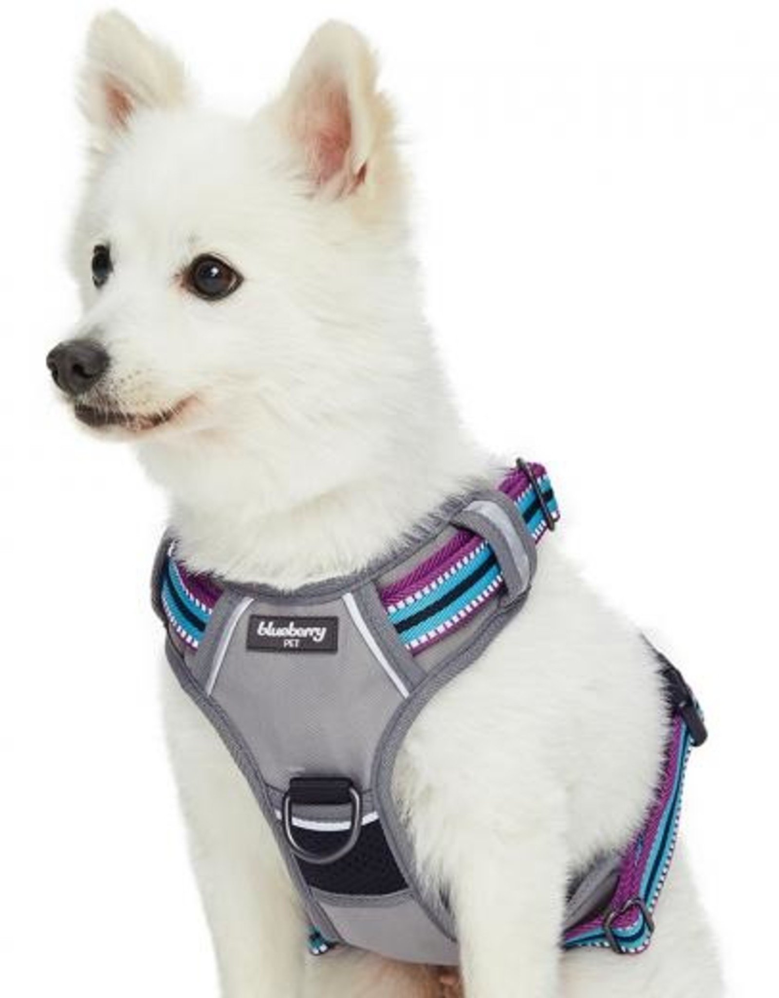 Blueberry Pet | 3M Reflective Multi-colored Stripe Dog Harness - Lucky