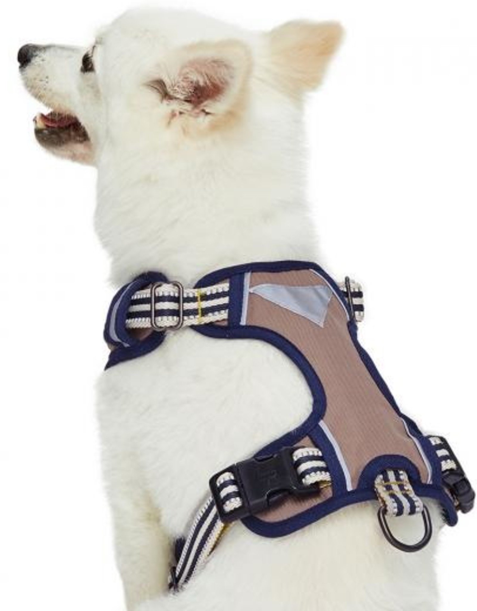 Blueberry Pet Blueberry Pet | 3M Reflective Multi-colored Stripe Dog Harness